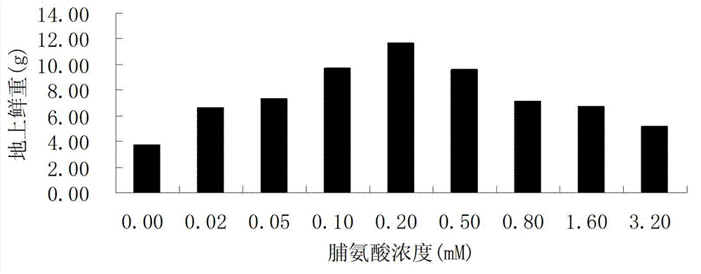 Method of improving salt resistance of bluegrass by using exogenous proline