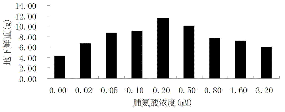 Method of improving salt resistance of bluegrass by using exogenous proline