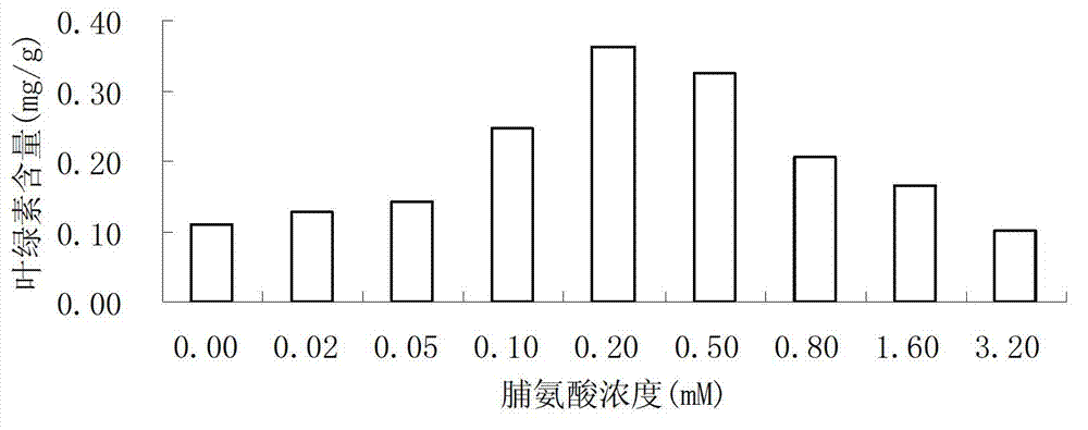 Method of improving salt resistance of bluegrass by using exogenous proline