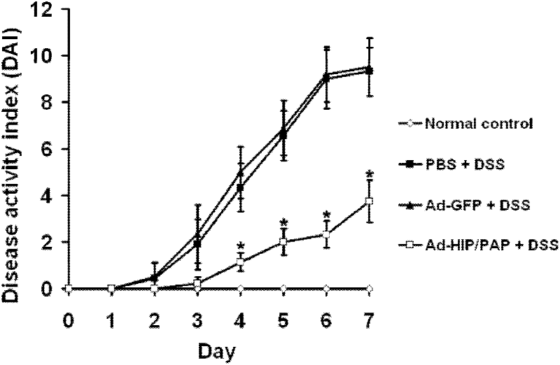 HIP/PAP recombinant adenovirus and application thereof in resisting ulcerative colitis