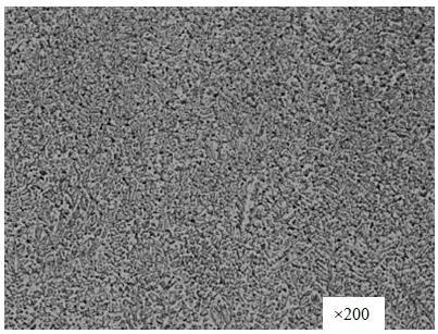 Laser cladding coating powder and preparation method thereof