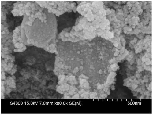 A kind of microorganism immobilization agent and its preparation method and application