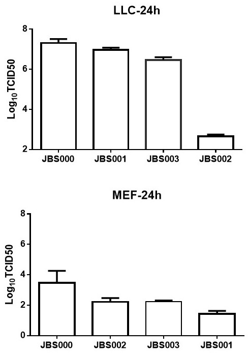 An oncolytic virus vaccine and its drug combined with immune cells to treat tumors