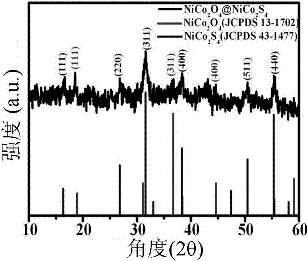 NiCo2O4@NiCo2S4 core-shell nanowire array composite material and preparation method and application thereof