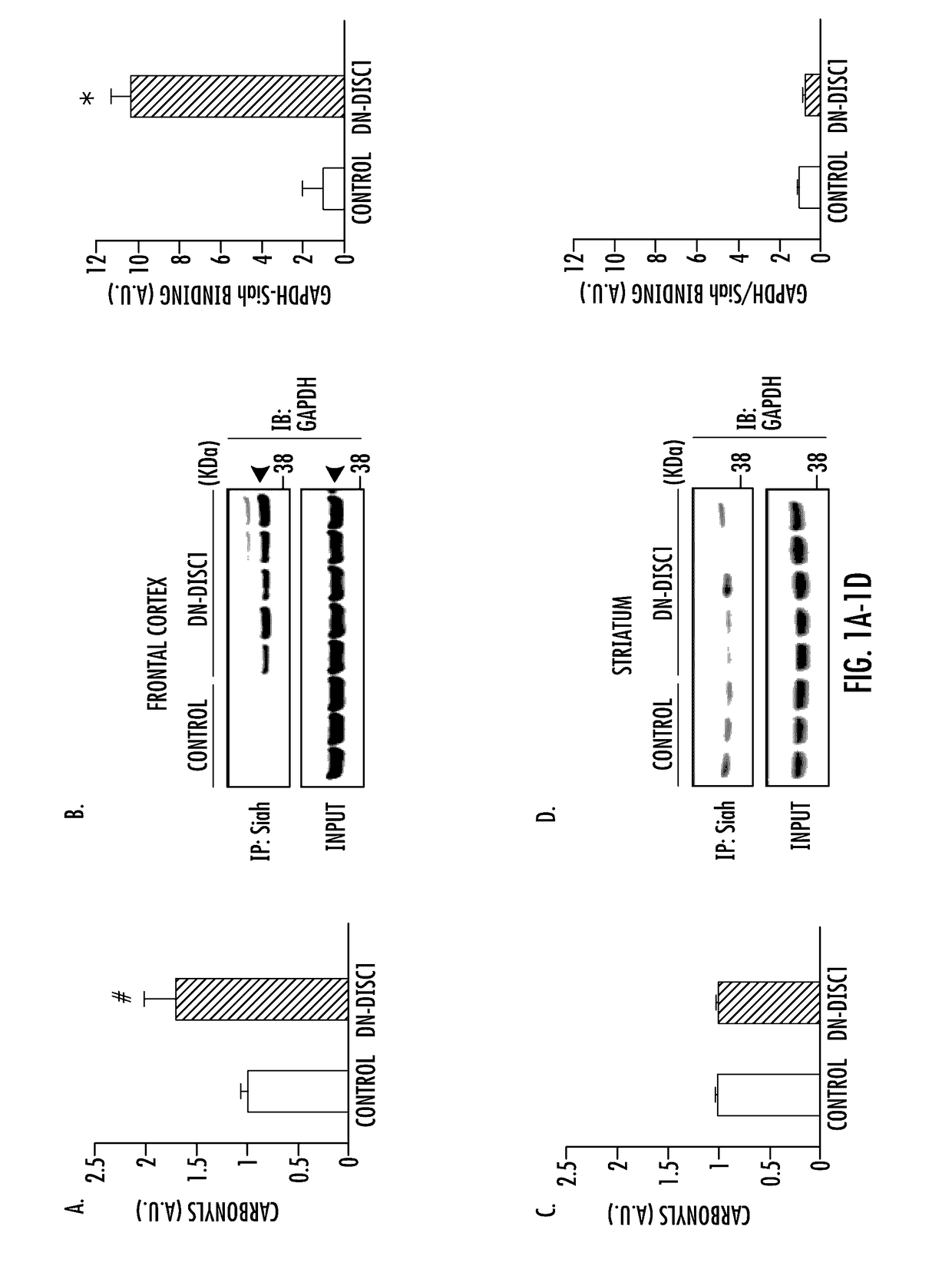 Gapdh cascade inhibitor compounds and methods of use and treatment of stress induced disorders including mental illness