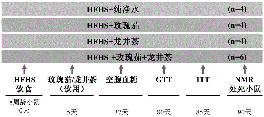 Application of hibiscus sabdariffa-green tea composition in relieving diet-induced metabolic disorders