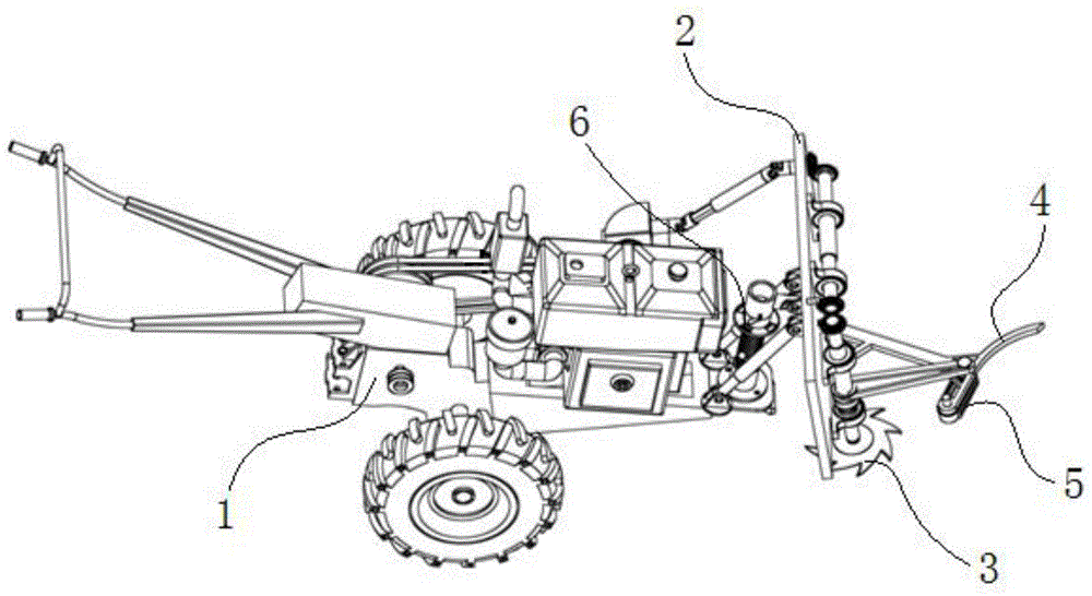 Mulberry tree cutting machine