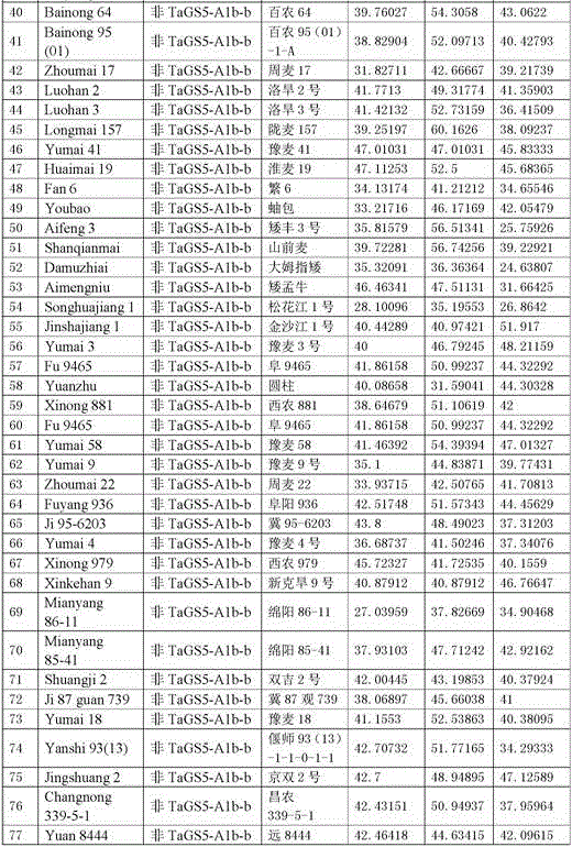 High thousand-grain-weight gene of common wheat and application of high thousand-grain-weight gene