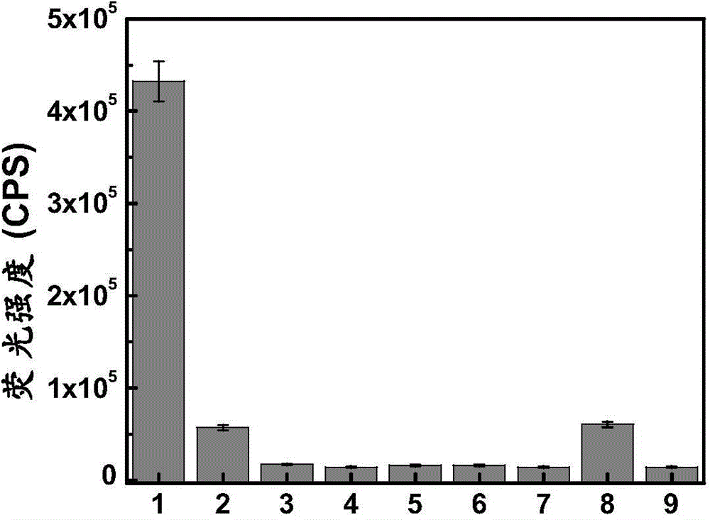 Cyanine compound and application thereof