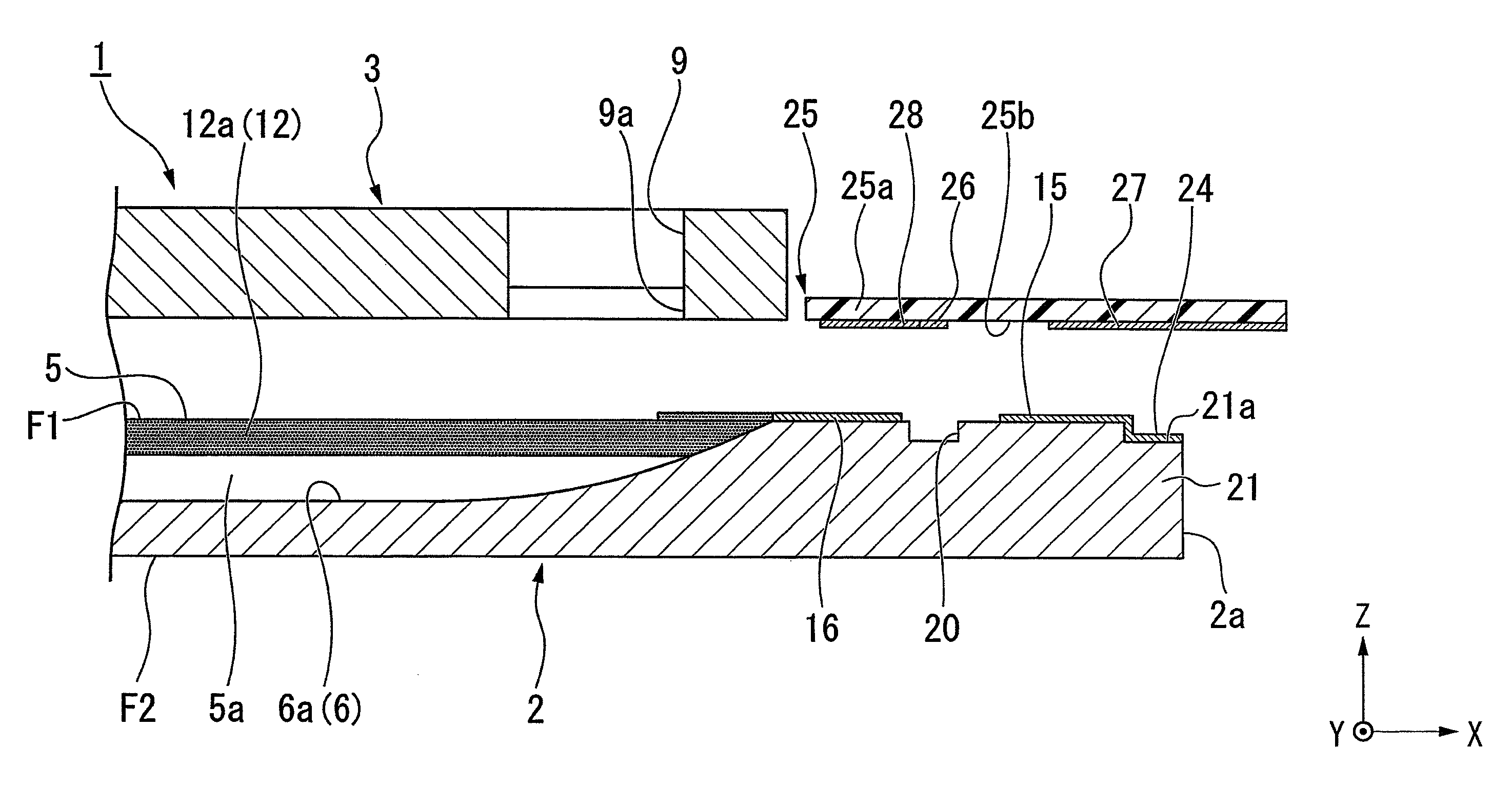 Liquid jet head, method of manufacturing liquid jet head, and liquid jet apparatus