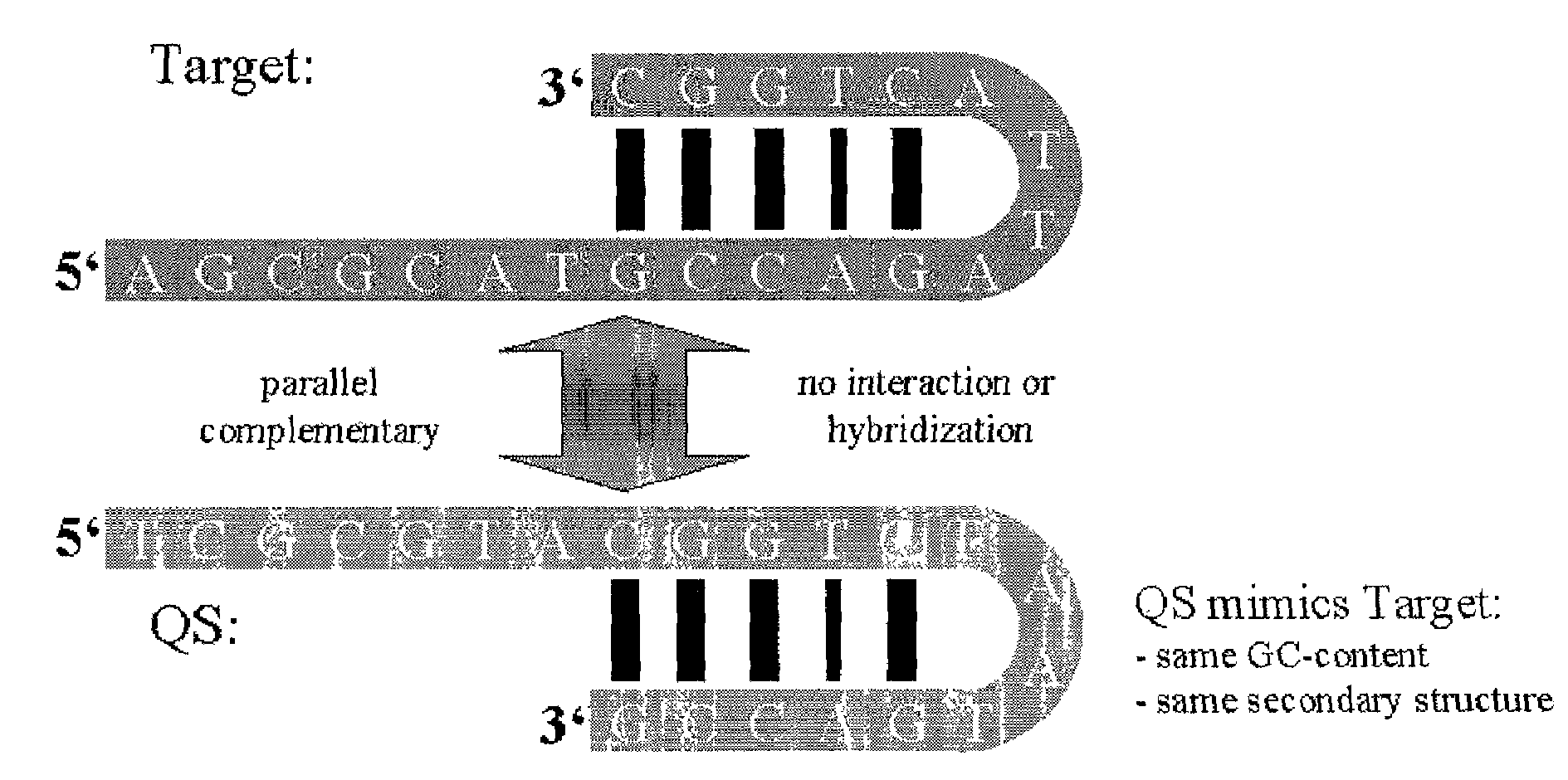 Method for the determination of a nucleic acid using a control