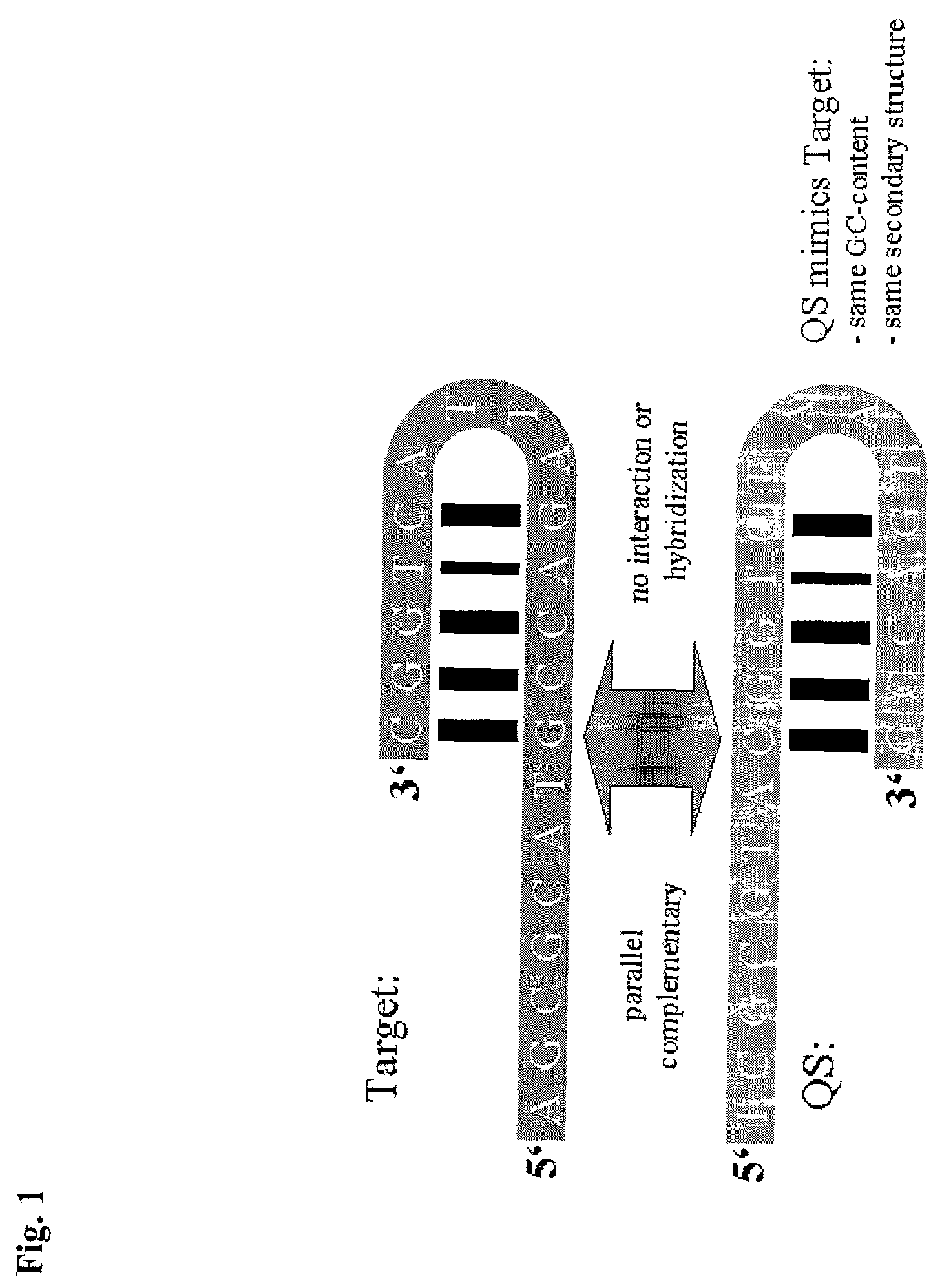 Method for the determination of a nucleic acid using a control