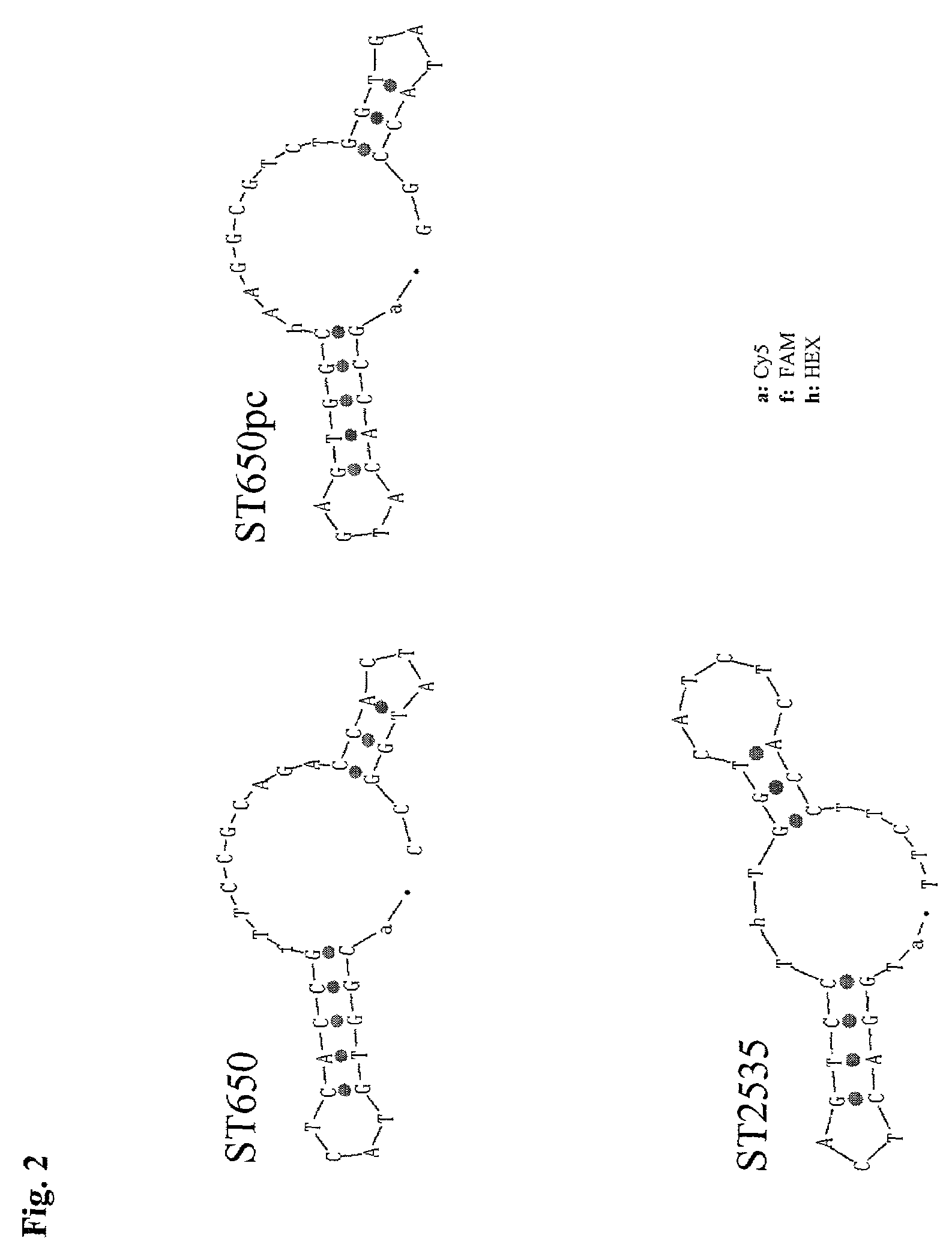 Method for the determination of a nucleic acid using a control