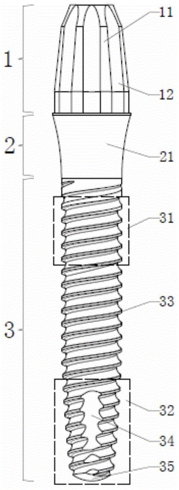 One-piece artificial tooth implant and implantation method thereof