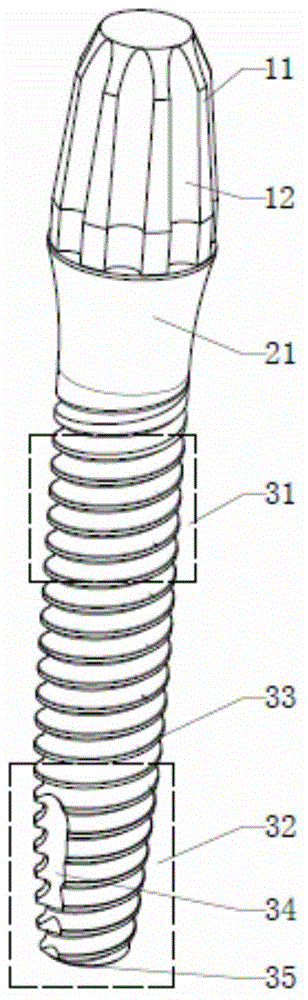 One-piece artificial tooth implant and implantation method thereof