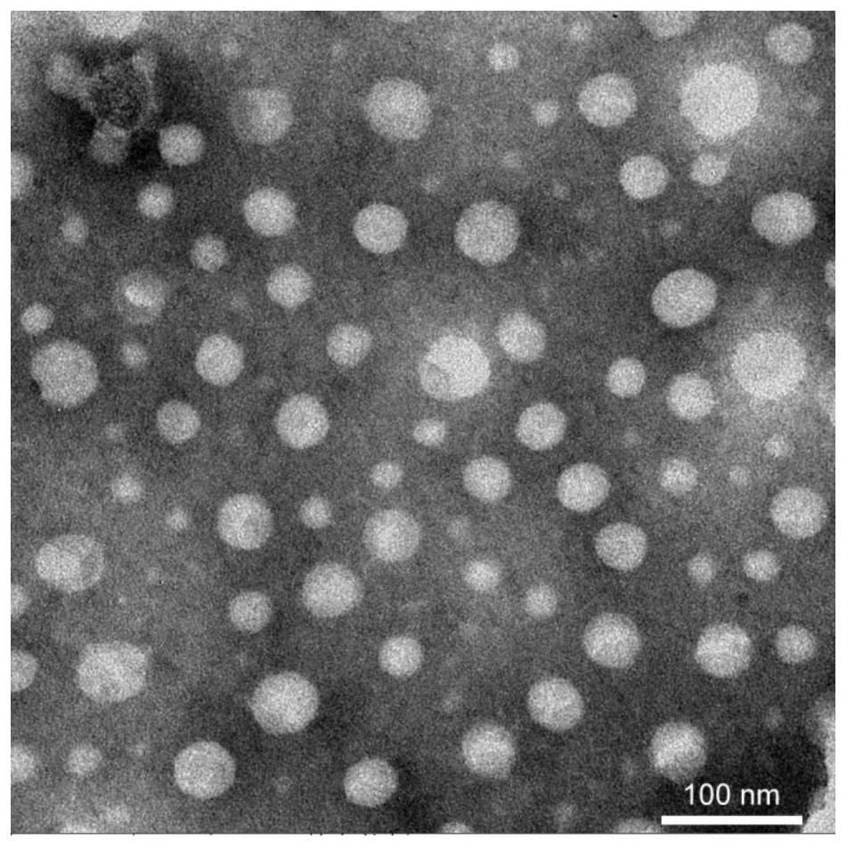 A method for preparing water-soluble astaxanthin and astaxanthin aqueous solution prepared therefrom