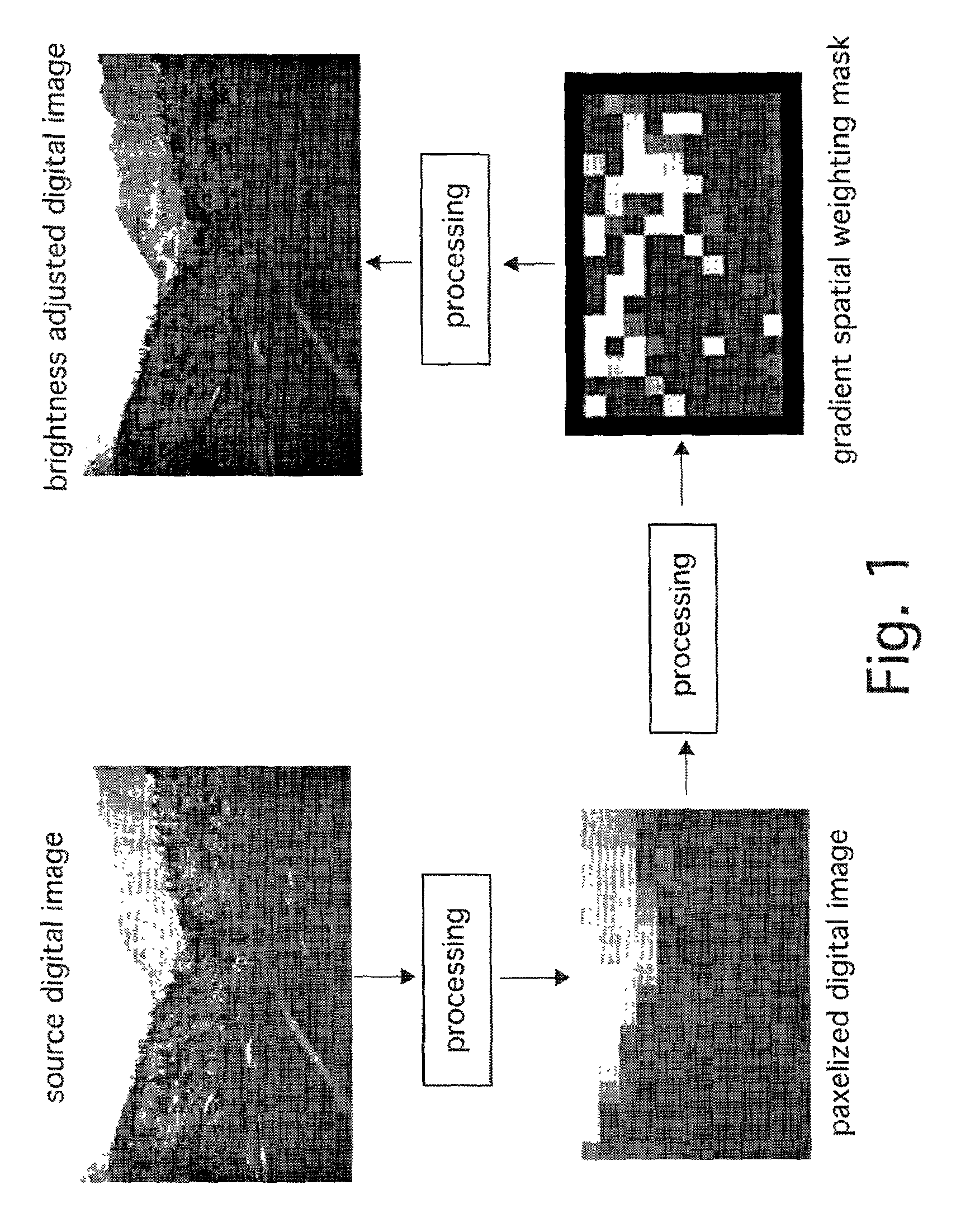 Digital image processing method and apparatus for brightness adjustment of digital images