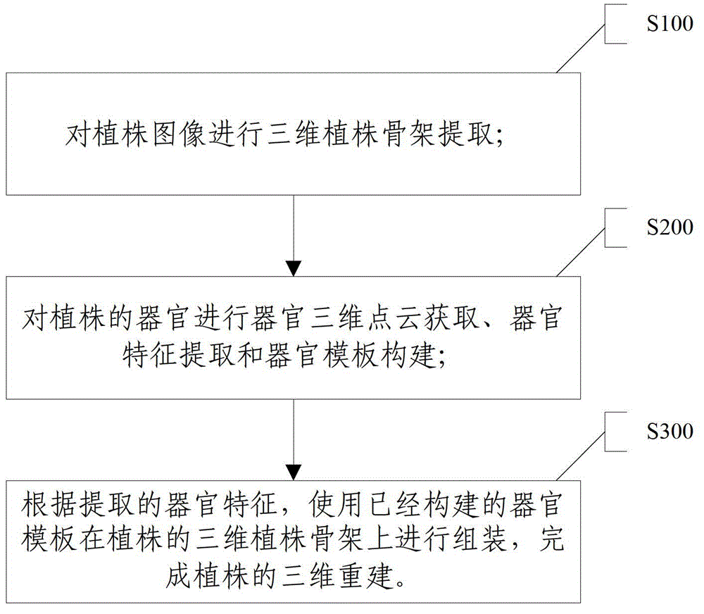 Plant three-dimensional reconstruction method based on image and scanning data