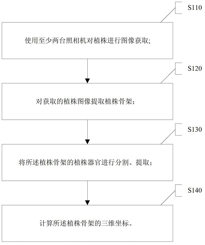 Plant three-dimensional reconstruction method based on image and scanning data