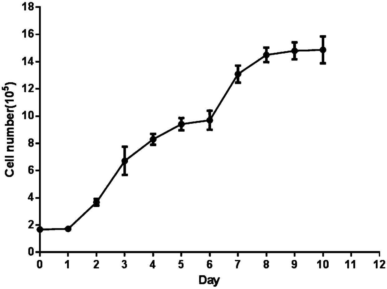 Establishing method of myosatellite cell system of bastard halibut during embryo period