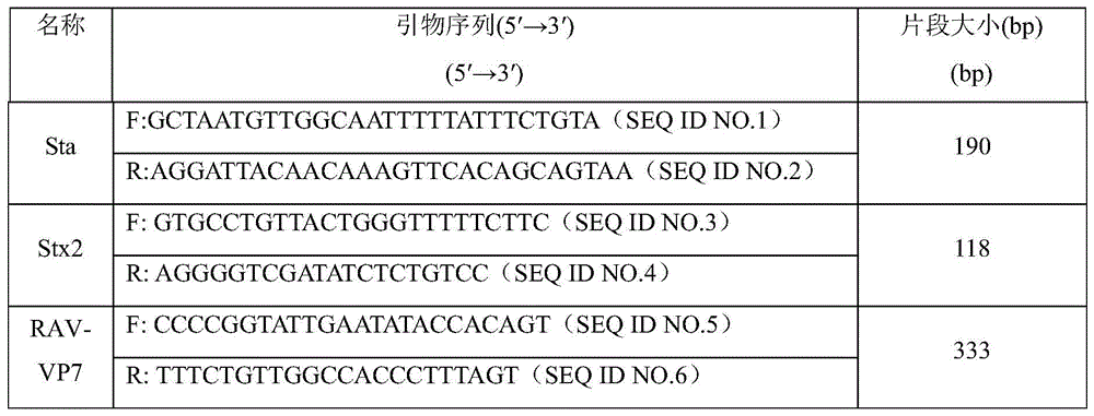 Breeding method of high-yield and disease-resistant new line of Meishan pig