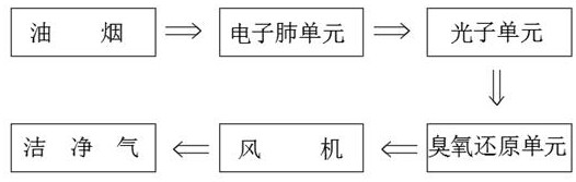 A method for purifying kitchen fumes