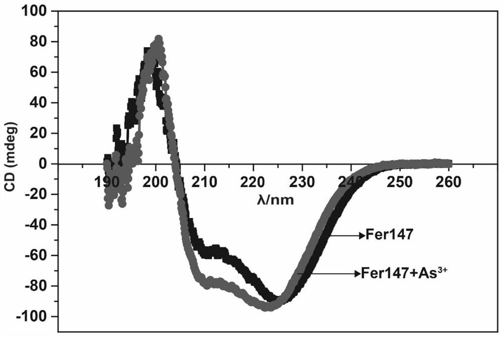 Preparation method and application of anti-tumor nano arsenic spheres based on invertebrate recombinant ferritin