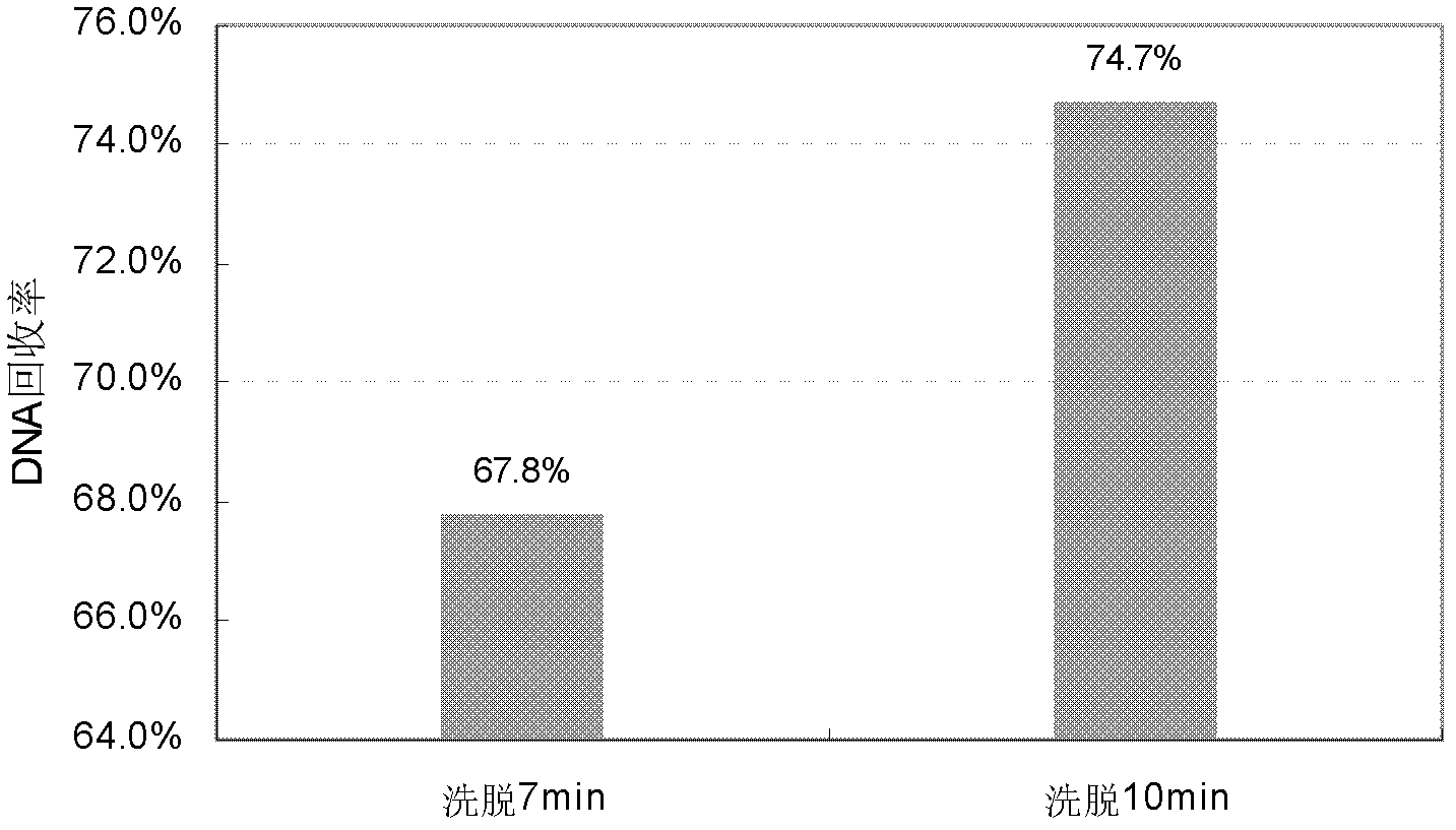 Paramagnetic particle method for extracting residual DNAs (Deoxyribose Nucleic Acids) from recombinant protein product