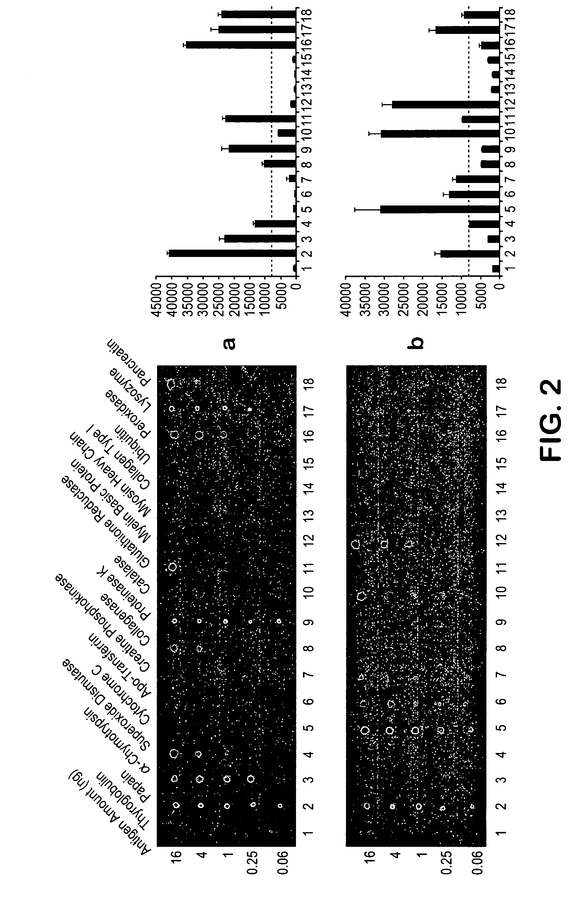 Method for proteomic analysis utilizing immune recognition and cumulative subtraction