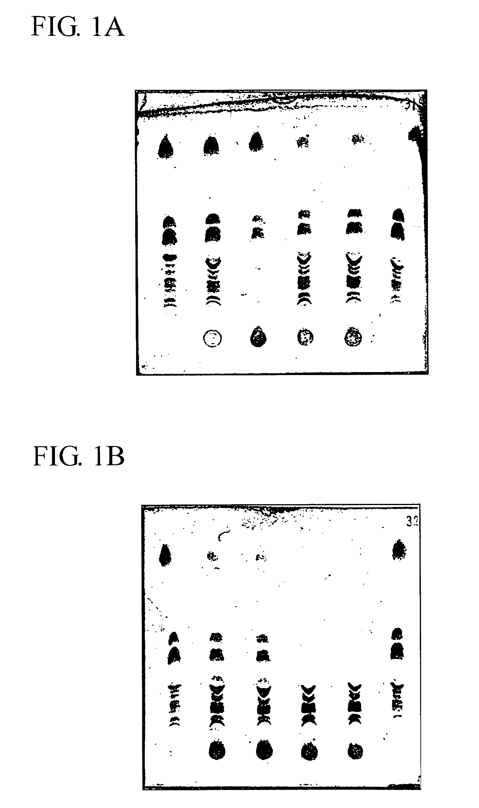 Mono- and disaccharide derivatives