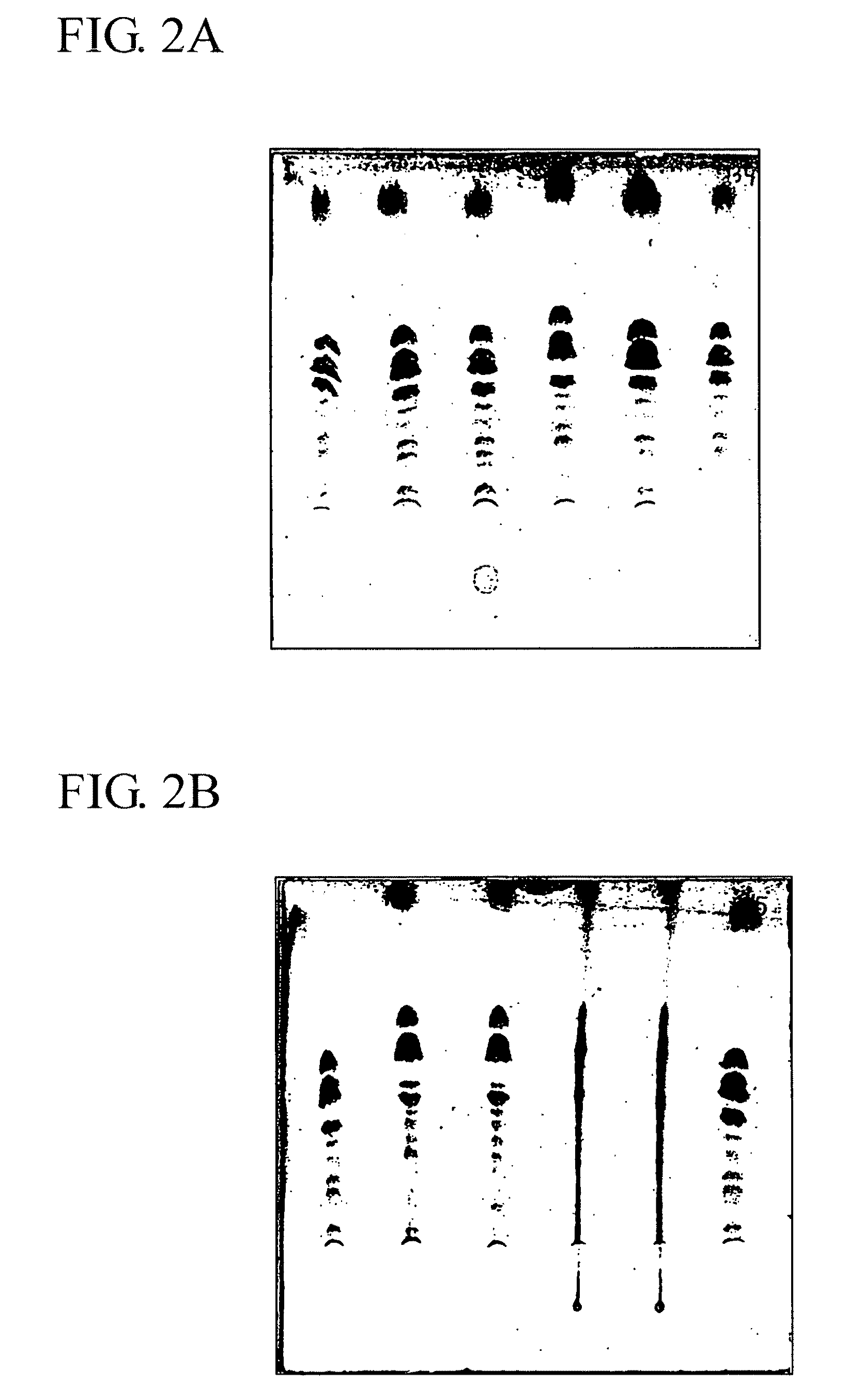 Mono- and disaccharide derivatives