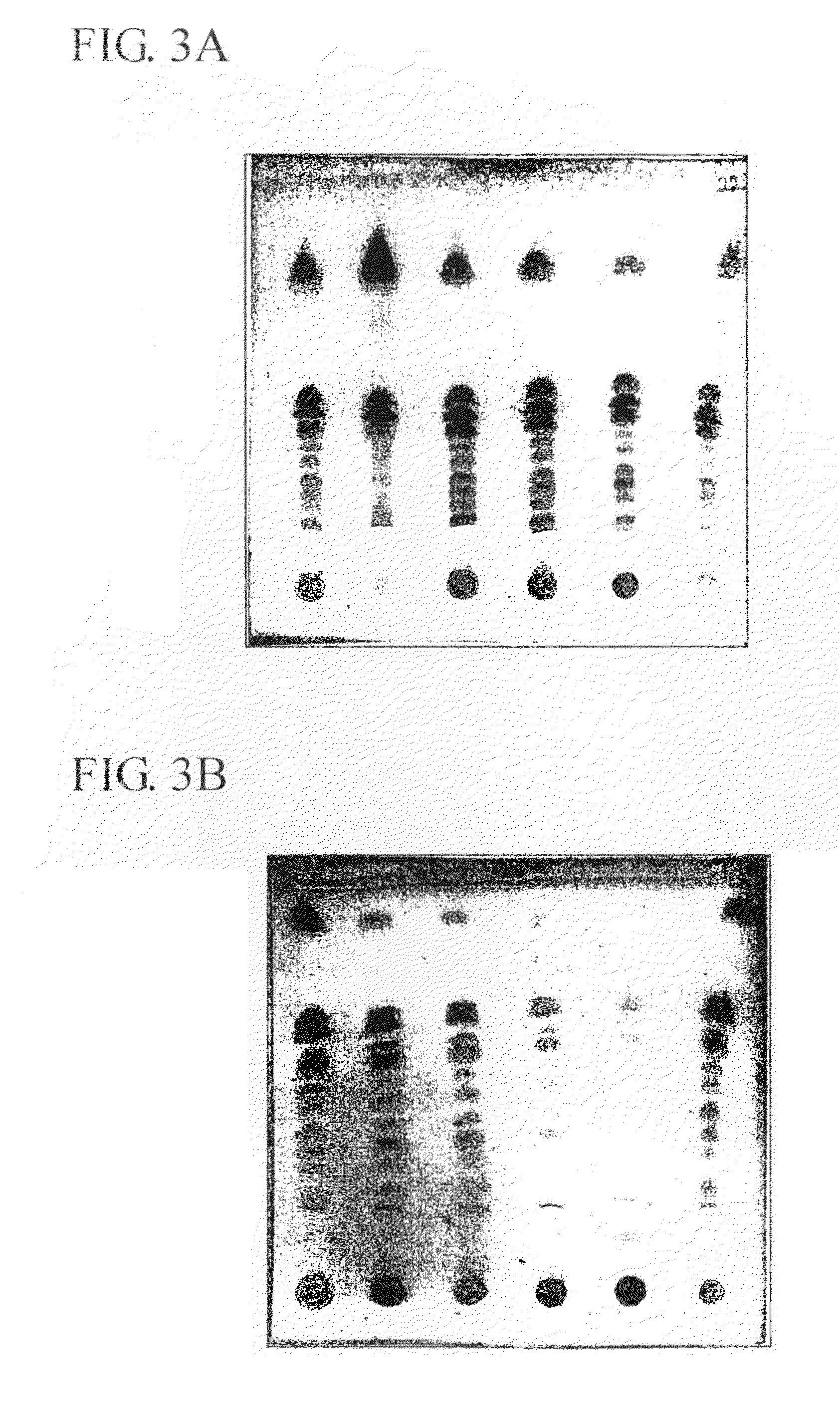 Mono- and disaccharide derivatives