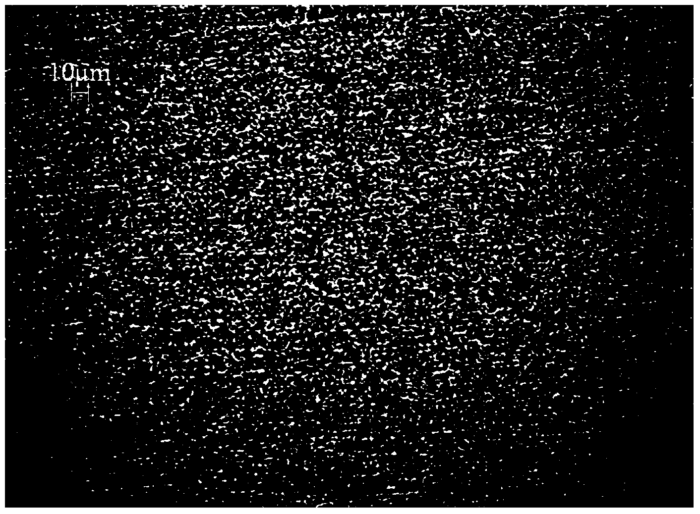 Method for preparing AgSnO2 wire