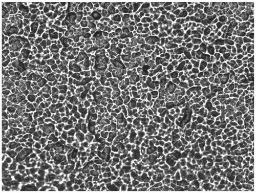 Multifunctional motion counting sensor based on friction nano-generator