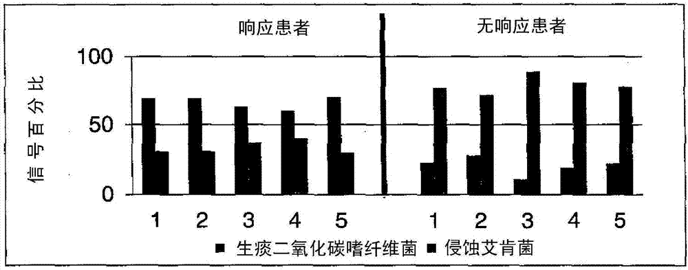 DUal microbial preparation for long-term suppression or prevention of symptoms of opportunistic microbial infections