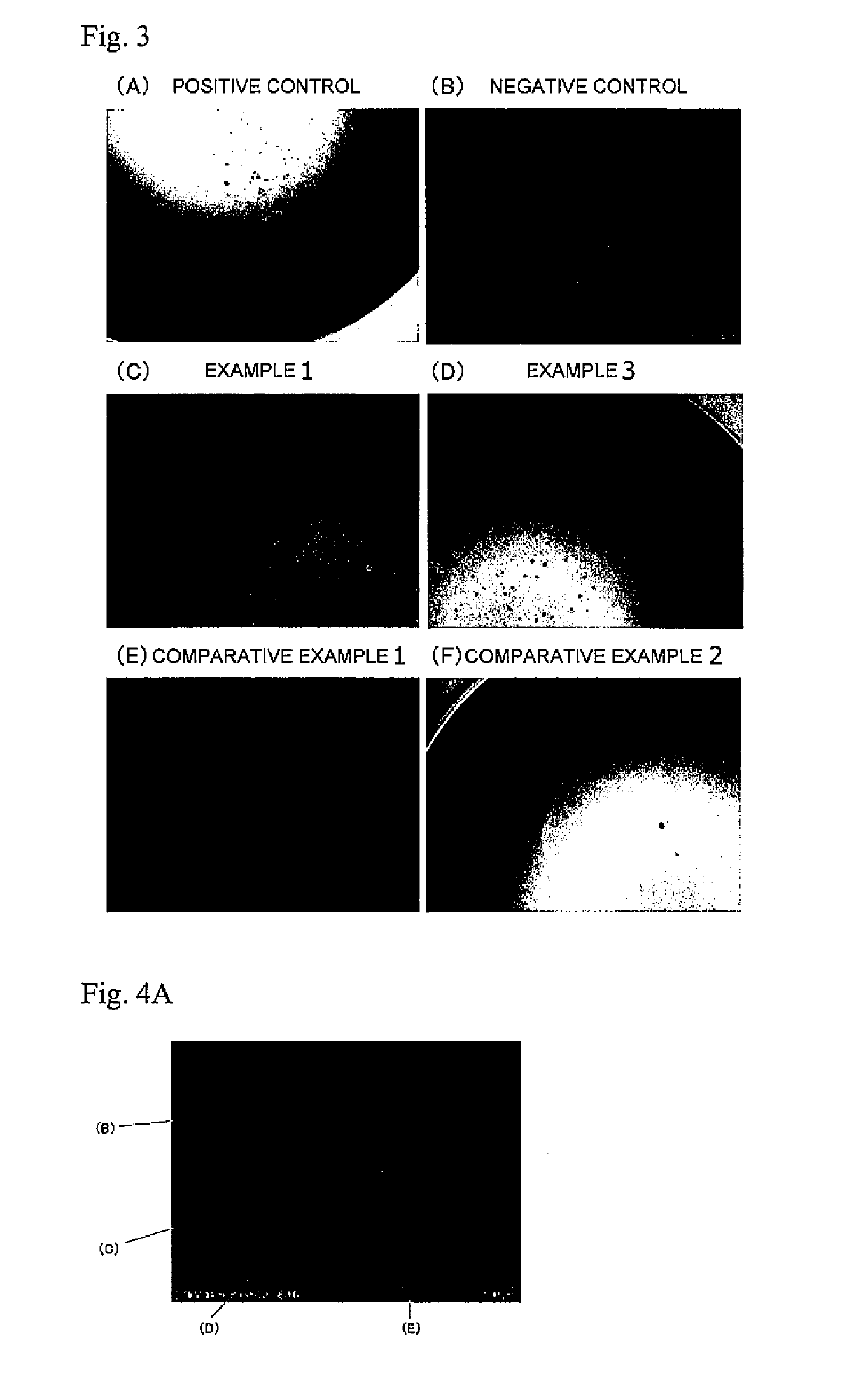 Coating film having thinly-spreading and irregularity-conforming properties, and structural base having such film