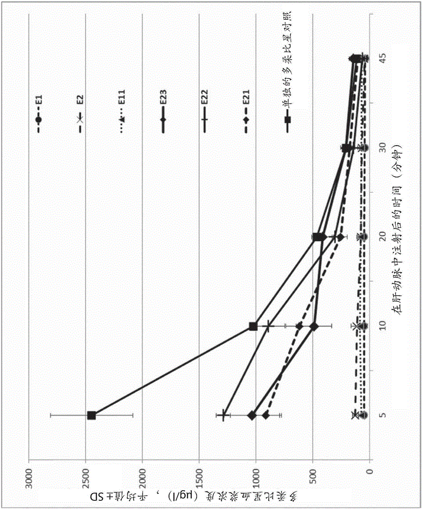 Composition for vectorizing an anti-cancer agent