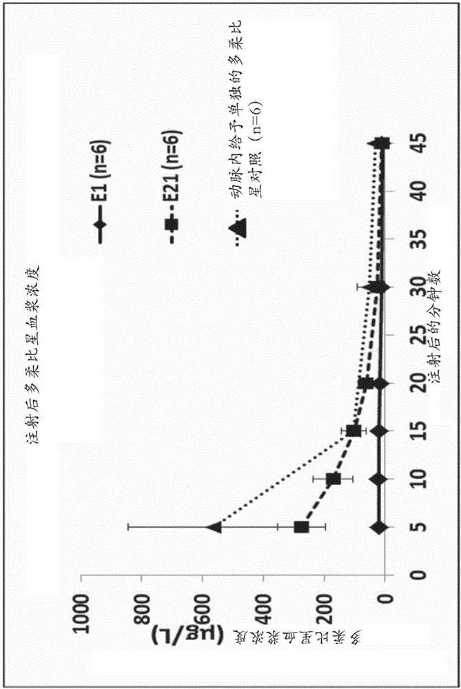 Composition for vectorizing an anti-cancer agent