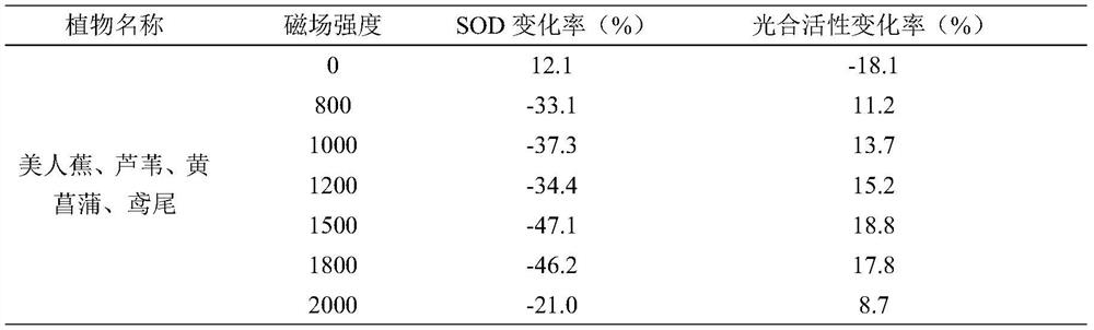 A system and method for restoring river and lake water bodies by a floating water purification plant