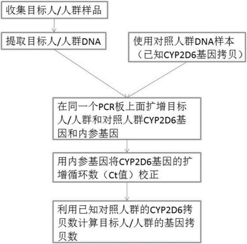 Method for quickly and accurately detecting copy number variation of CYP2D6 gene