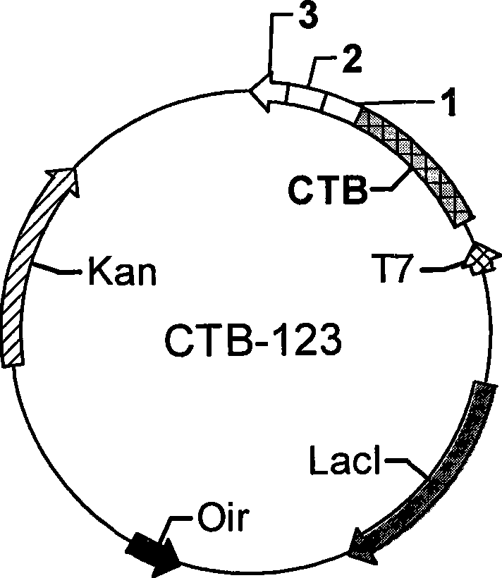 Anti-atherosis epitope composition, preparation method and uses thereof