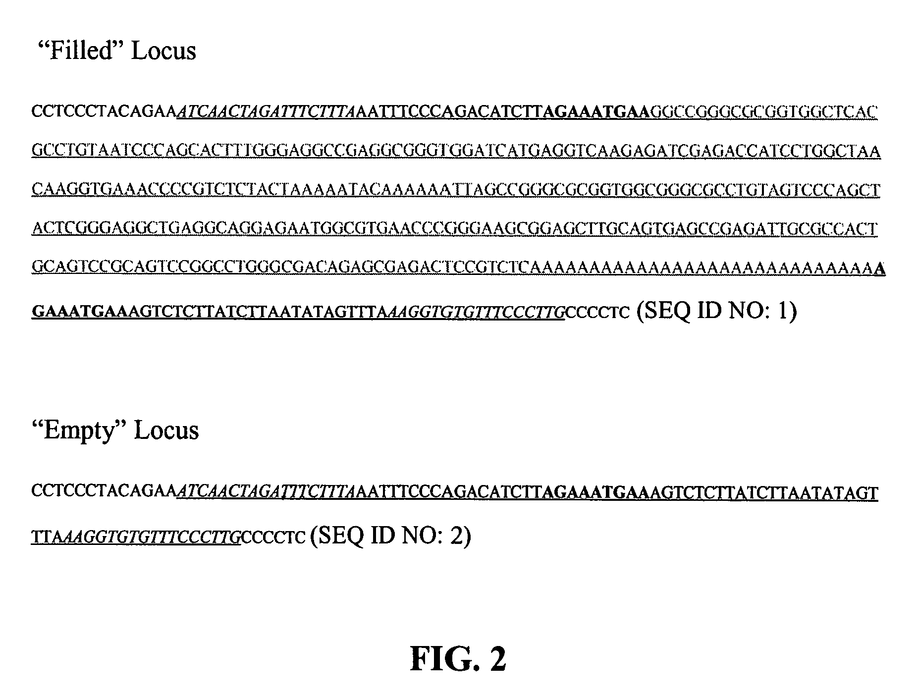 Method for genetic detection using interspersed genetic elements