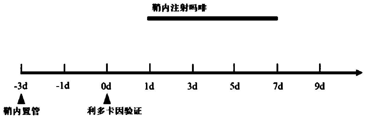 Endogenous long-chain non-coding RNA MRAK049966 and application thereof