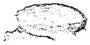 Physical three-dimensional model automatic modeling method