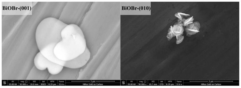 Application of crystal face controllable bismuth oxybromide catalyst in selective oxidative degradation of pollutants