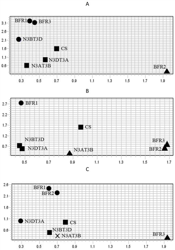 Wheat powdery mildew resistance related bfr protein and its coding gene and application