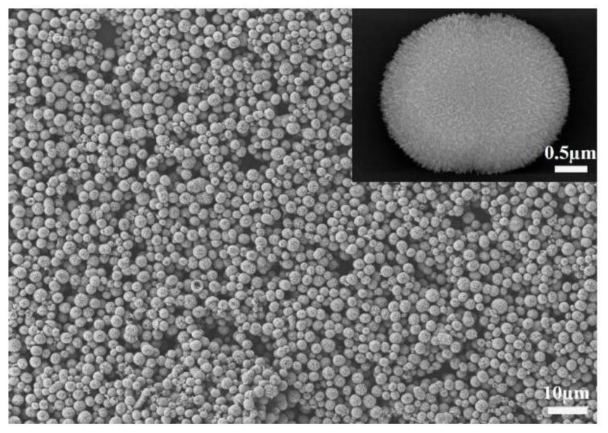 A biomimetic hydroxyapatite powder/gelatin/sodium alginate composite 3D printing scaffold and preparation method thereof