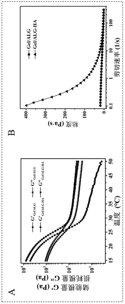 A biomimetic hydroxyapatite powder/gelatin/sodium alginate composite 3D printing scaffold and preparation method thereof