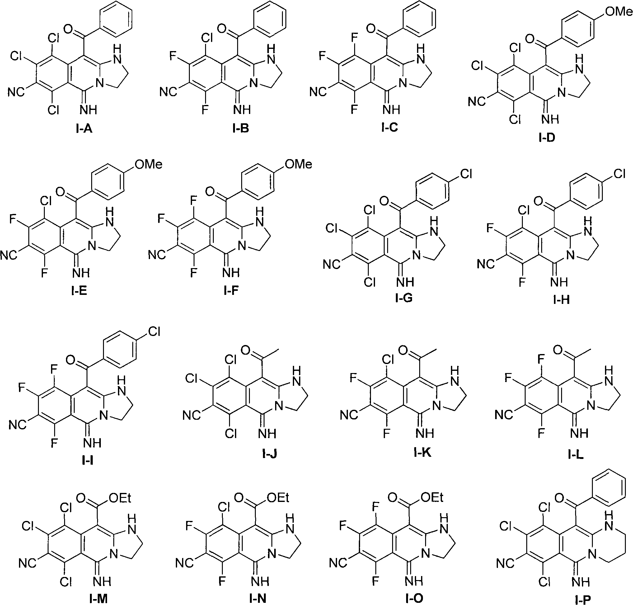 Anti-tumor activity of derivative of polyhalogenated isoquinoline imine