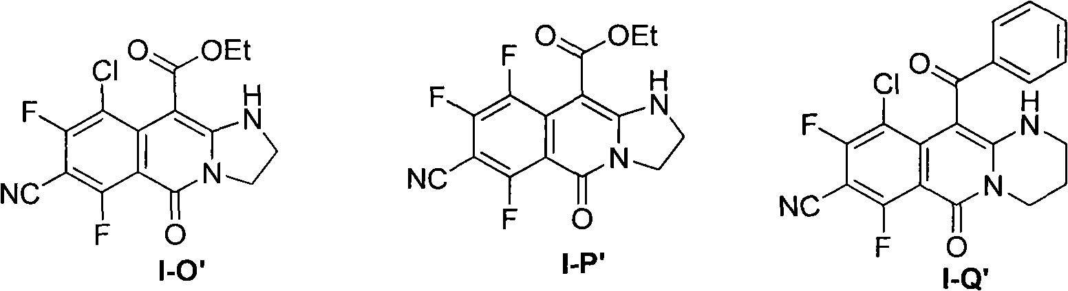 Anti-tumor activity of derivative of polyhalogenated isoquinoline imine